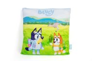 Βελούδινο Μαξιλάρι BBC Studios Bluey 09 38X38 Green 100% Velboa